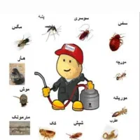 سمپاشی ساس سوسک سم پاشی موریانه موش کنه