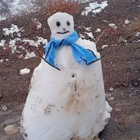 بلیط رایگان