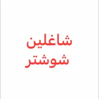 همسفر ساکن اندیمشک شاغل در شوشتر