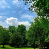فروش زمین باغی مجموعه مهراب دهبید مرودشت