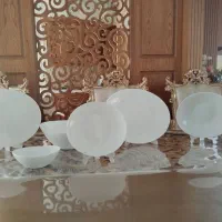 ظروف آرکوپال فله