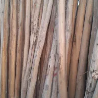 چوپ سالم|خدمات باغبانی و درختکاری|فیروزآباد (آذربایجان), |دیوار