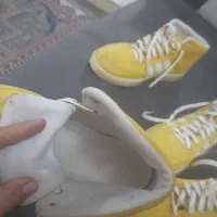 کفش درحد|کیف، کفش، کمربند|پاکدشت, پاکدشت (مامازند)|دیوار