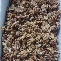 مغز گردو|خوردنی و آشامیدنی|قم, باجک دو|دیوار