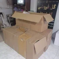 کارتن بزرگ جای گل نرگس|گل و گیاه طبیعی|آبدانان, |دیوار