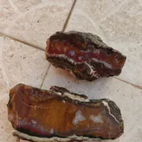 سنگ شجر راف|جواهرات|بوشهر, |دیوار