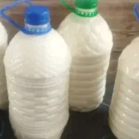 دوغ گوسفندی