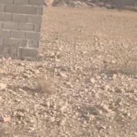 ۲۰۰متر زمین مسکونی جم هندله قاعدی فقط ۱۴۰ملیون کلا|فروش زمین و ملک کلنگی|جم, |دیوار