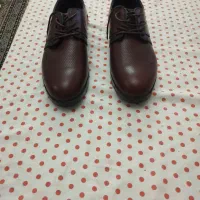 کفش مردانه lcwaiki|کیف، کفش، کمربند|پردیس, فاز ۳|دیوار