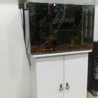 اکواریوم بالوازم وکمدزیرش