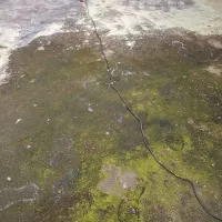 منبع شویی کف شویی تابلو شویی رنگ آمیزی پارکینگ|خدمات نظافت|بندر انزلی, سپه|دیوار