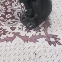 مال بند زیبا|قطعات یدکی و لوازم جانبی|اردبیل, |دیوار