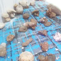 کسی میدونه این چه سنگی هست|فعالیت داوطلبانه تحقیقاتی|تهران, قزل قلعه|دیوار