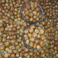 فندوق|خوردنی و آشامیدنی|کرج, شاهین‌ویلا|دیوار