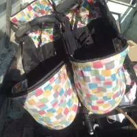 کالسکه بچه گانه دوقلو