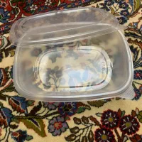 ظروف پلاستیکی و فریزری