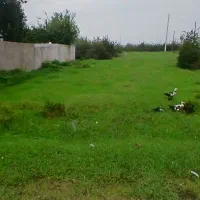 ۳۰۰متر زمین مسکونی سند۶ دانگ تک برگ شهرک ساماندهی