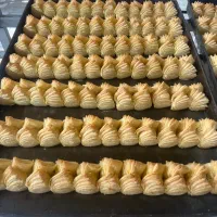 استخدام نیروی کار