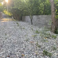 300-متر-سند-تک-برگ-بکه-کاسبی-الویت-با-اولین-بازدید