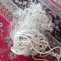 تورپرتابی ماهیگیری