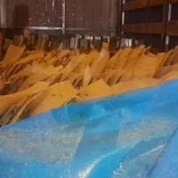 سوزوکی ۱۰۰ اماده تر و تمیز چراغ گرد مشکی