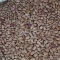 لوبیا چیتی