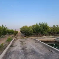 باغ۴۵۰۰متری پیربکران زیرقیمت فروش فوری