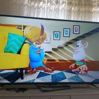 تلویزیون‌اسنوا