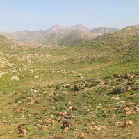 قاب کندوی زنبورعسل