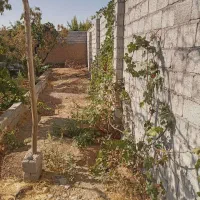 باغ-باغچه
