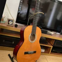 گیتار برند Andante|گیتار، بیس، امپلیفایر|لاهیجان, انقلاب|دیوار