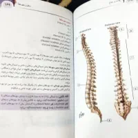 آناتومی نتر|کتاب و مجله آموزشی|تهران, اوین|دیوار