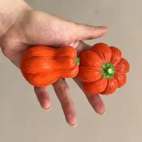 شمعهای کدو انار مخصوص شب یلدا|صنایع دستی و سایر لوازم تزئینی|اردبیل, |دیوار