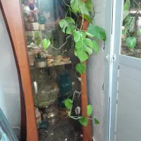 بوفه ظرف (ویترین)