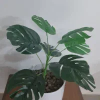 گل مصنوعی|گل مصنوعی|سبزوار, شهدا|دیوار