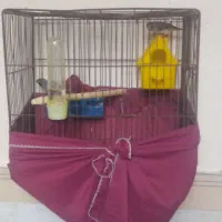 فنچ|پرنده|گهواره, |دیوار