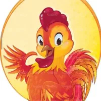 جوجه گوشتی راس ۳۰۸ یک روزه