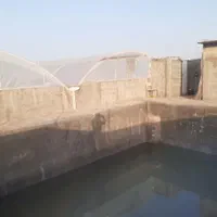 فروش گلخانه ۱۱۰۰ متری|فروش دفتر صنعتی، کشاورزی، تجاری|قم, پردیسان|دیوار