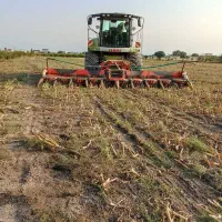 خرید و فروش ذرت علوفه ای و بسته بندی به قیمت مناسب|حیوانات مزرعه|فاضل آباد, |دیوار