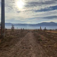 فروش ۳ هکتار زمین کشاورزی آبی|فروش دفتر صنعتی، کشاورزی، تجاری|سیلاخور, |دیوار