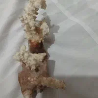 سنگ قیمتی|کلکسیون اشیاء عتیقه|بناب, |دیوار