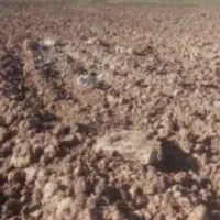 زمین-کشاورزی-حاصل-خیز