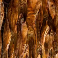 انواع ماهی دودی شمال|خوردنی و آشامیدنی|خلخال, |دیوار