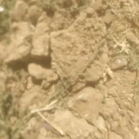 فروش-زمین