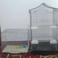 قفس پرنده