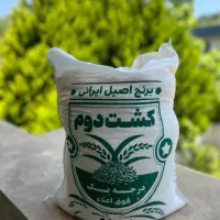 برنج ایرانی کشت دوم