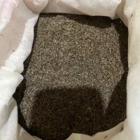 زیره و آویشن کوهی