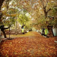 زمین سرمایه گذاری منطقه گردشگری درودنیشابورمجدآباد