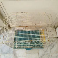 قفس پرنده