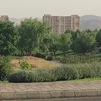 فیش-صفا-پارک